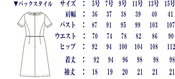 CL0181 ワンピース キャララ ステティシャン 白衣 女性 制服 ユニフォーム - 画像 (2)