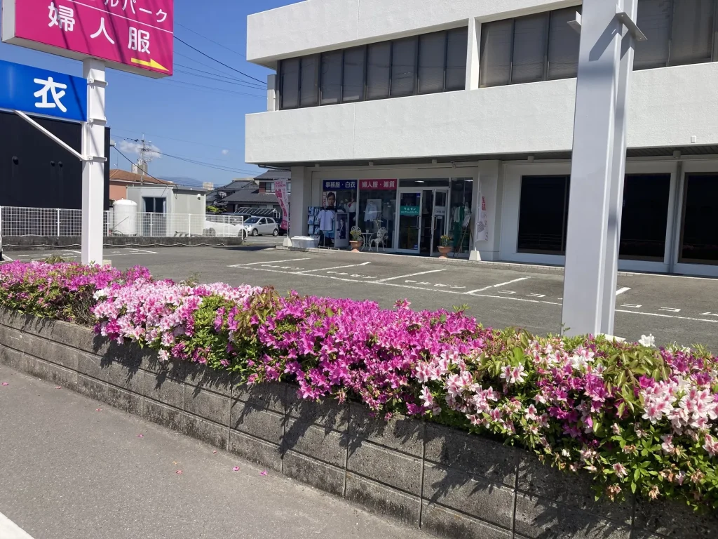 ツツジが咲きました 掲載写真